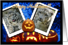 Snow Leopard Halloween Card