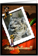 Snow Leopard Halloween Card