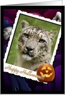 Snow Leopard Halloween Card