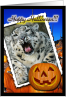 Snow Leopard Halloween Card