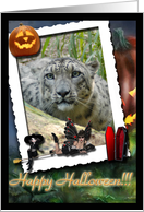 Snow Leopard Halloween Card