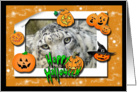 Snow Leopard Halloween Card