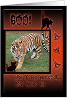 Tiger Halloween Card