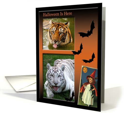 Tiger Halloween card (511455)