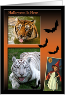 Tiger Halloween Card