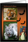 Tiger Halloween Card