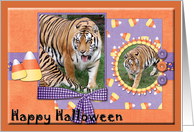 Tiger Halloween Card