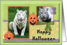 White Tiger Halloween Card