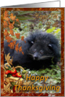 Bearcat Thanksgiving Card