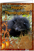 Bearcat Thanksgiving Card