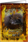 Bearcat Thanksgiving Card