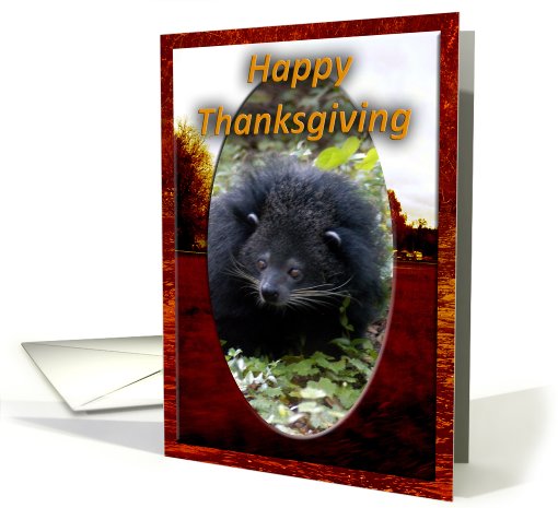 Bearcat Thanksgiving card (511505)