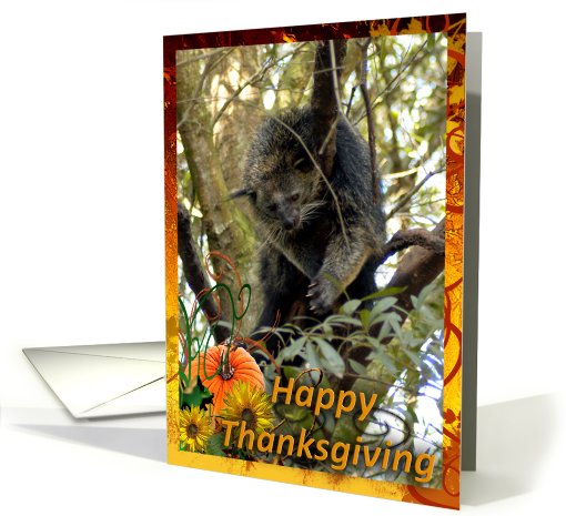 Bearcat Thanksgiving card (511510)