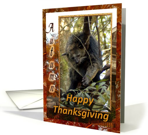 Bearcat Thanksgiving card (511512)