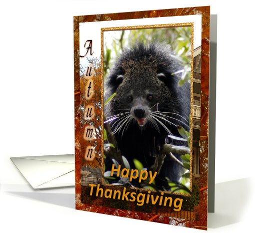 Bearcat Thanksgiving card (511517)