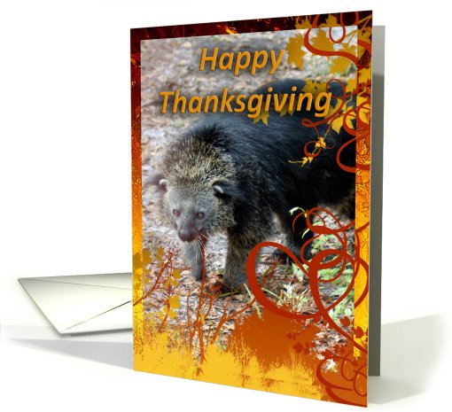 Bearcat Thanksgiving card (511522)