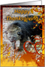 Bearcat Thanksgiving Card
