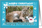 Bobcat Christmas Happy Holidays Card