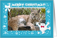 Bobcat Christmas...