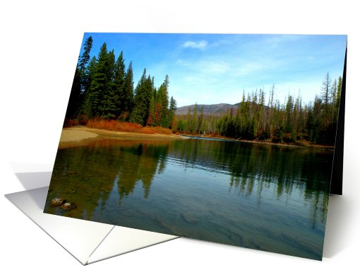 Happy Thanksgiving . card (675912)