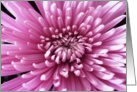 pink flower card