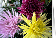 Lovely flowers card