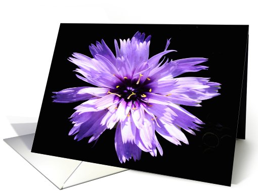Flower card (498348)