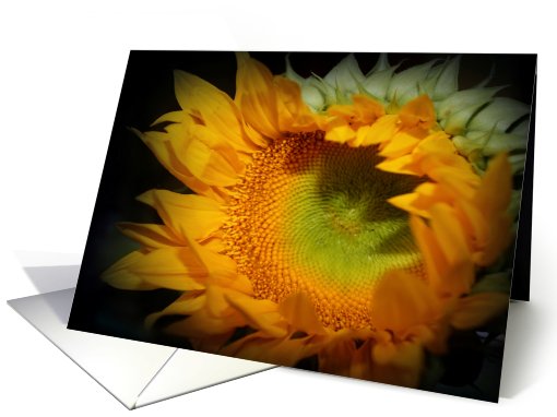 Girasol card (499433)