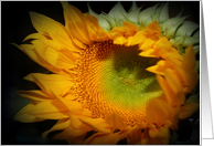 Girasol card