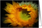 Girasol card