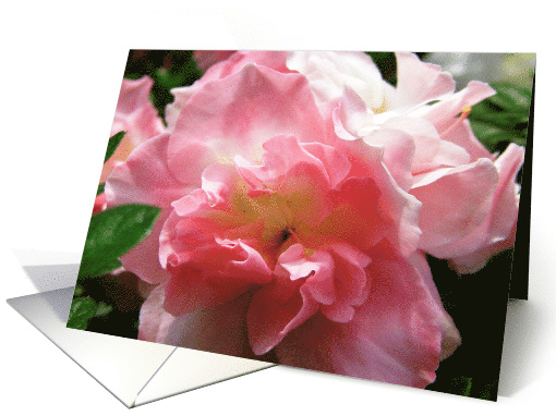 Flowers card (503802)