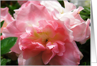 Flowers card