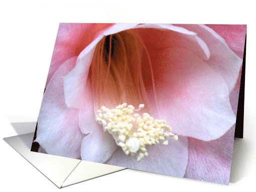 Flores card (503870)