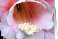Flores card