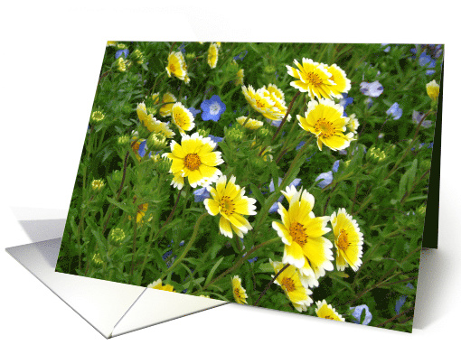 Flowers card (503901)