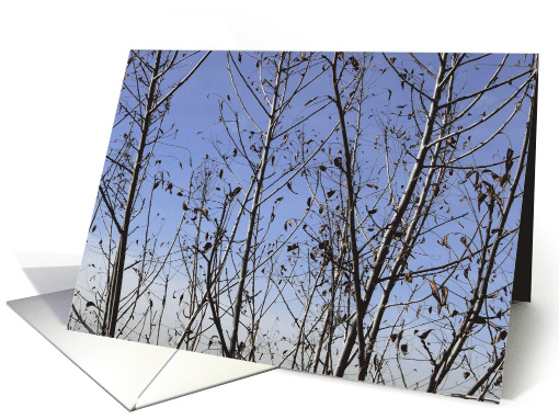 Blue Sky card (505731)