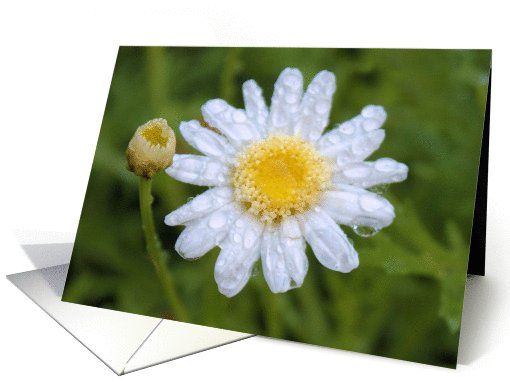 Yellow flower card (506314)