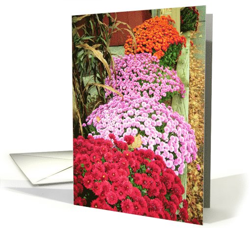 Colorful card (515305)