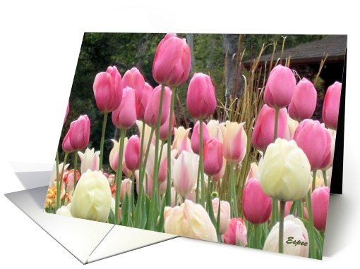 Flowers card (517396)