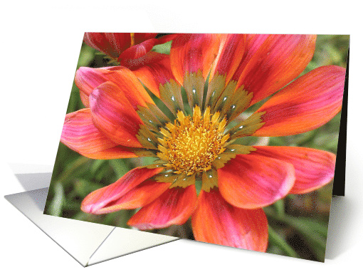 Flowers card (517397)