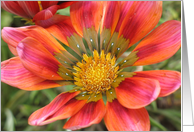 Flowers card