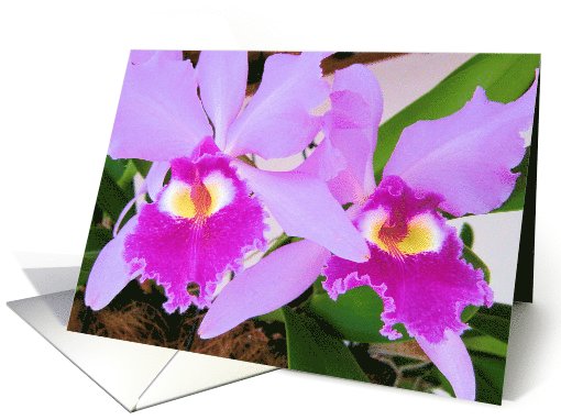 Flowers card (517406)