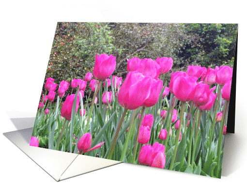 Flowers card (517408)