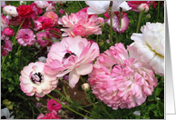 Flowers, Birthday card