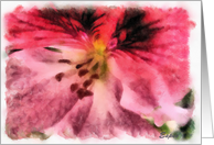 Flowers, birthday card