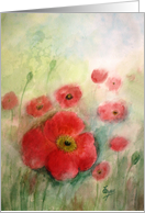 Red Poppies