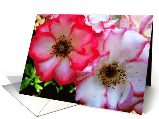 Colorful Roses card (664108)