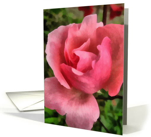 Soft and beautiful, Pink rose card (664124)