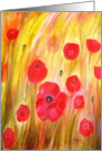 Field of poppies card