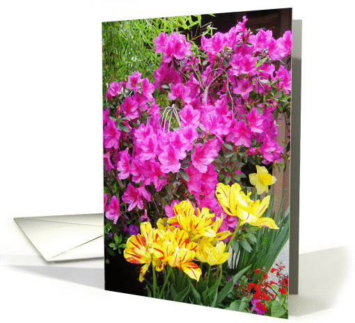 Flowers, Birthday card (678910)